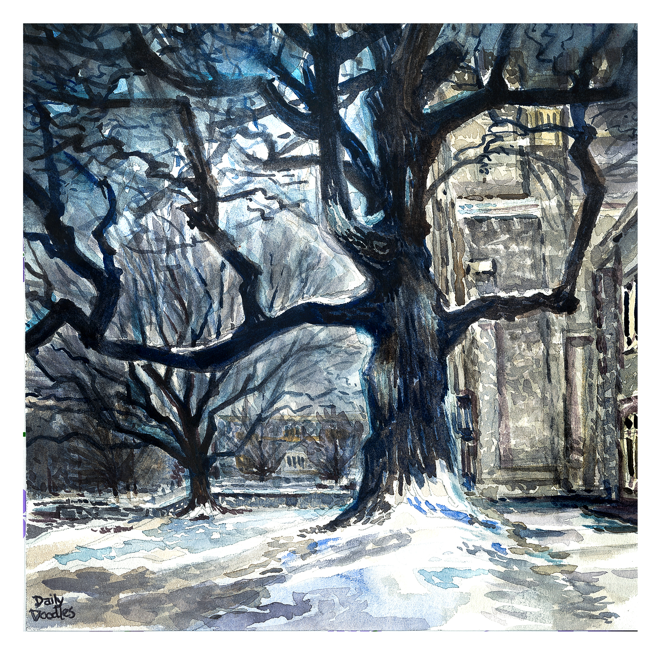 Watercolor sketch of the giant 90 foot tall tulip tree in front of Burruss Hall with some snow on the ground and on the limbs