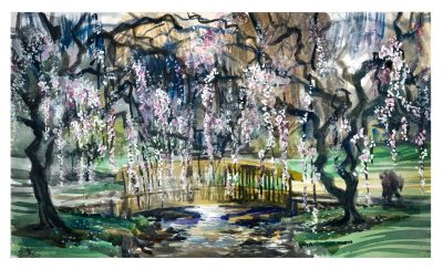 Watercolor of weeping ornamental cherry trees at the west end of the Drillfield along West Campus Drive; the bridge across Strubles Creek is visible in the painting