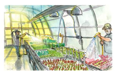 Ink and watercolor sketch of Homefield Farm employees watering seedlings in a Hahn Greenhouse