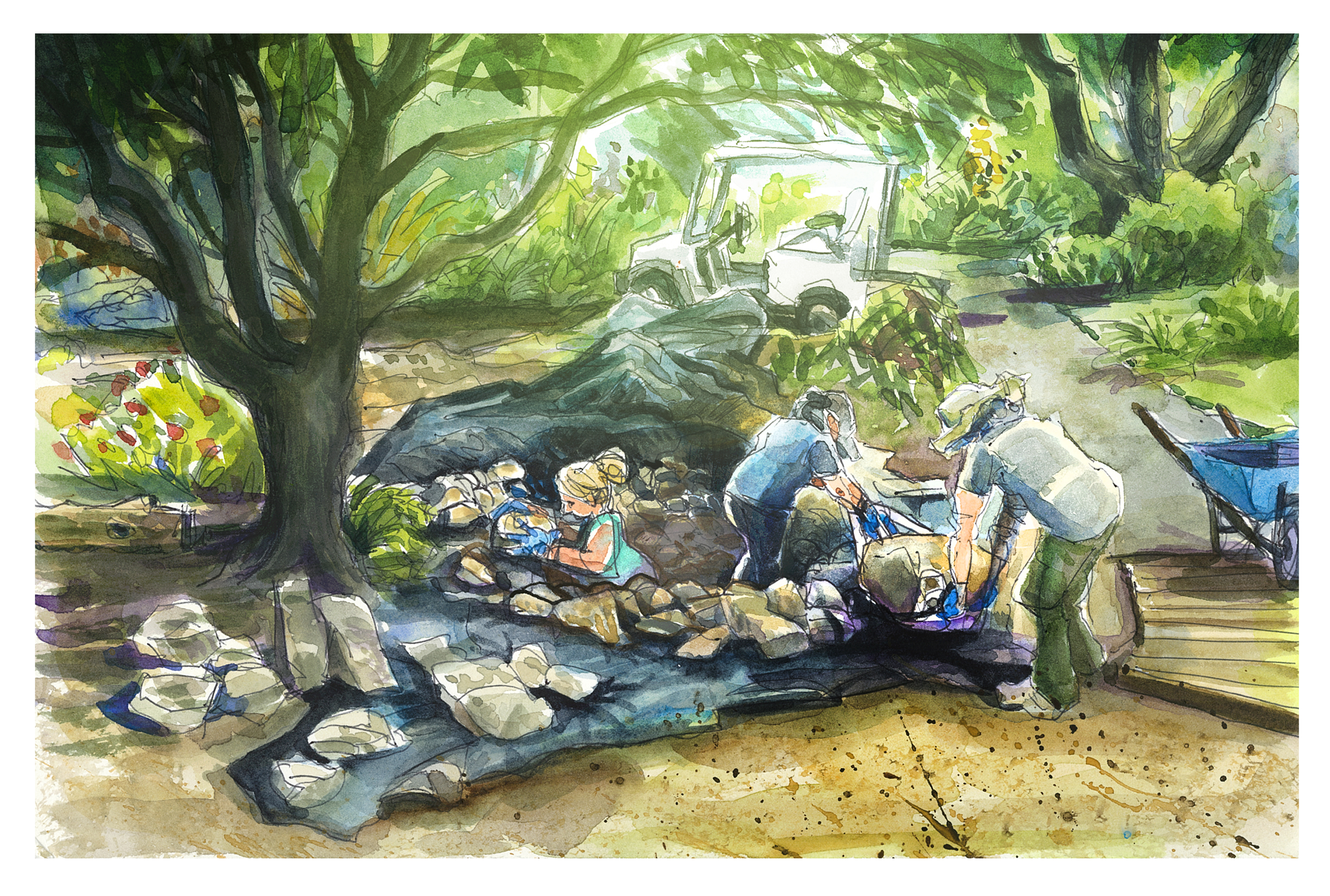 Watercolor and digital color of summer interns rebuilding a pond at Hahn Horticulture Garden