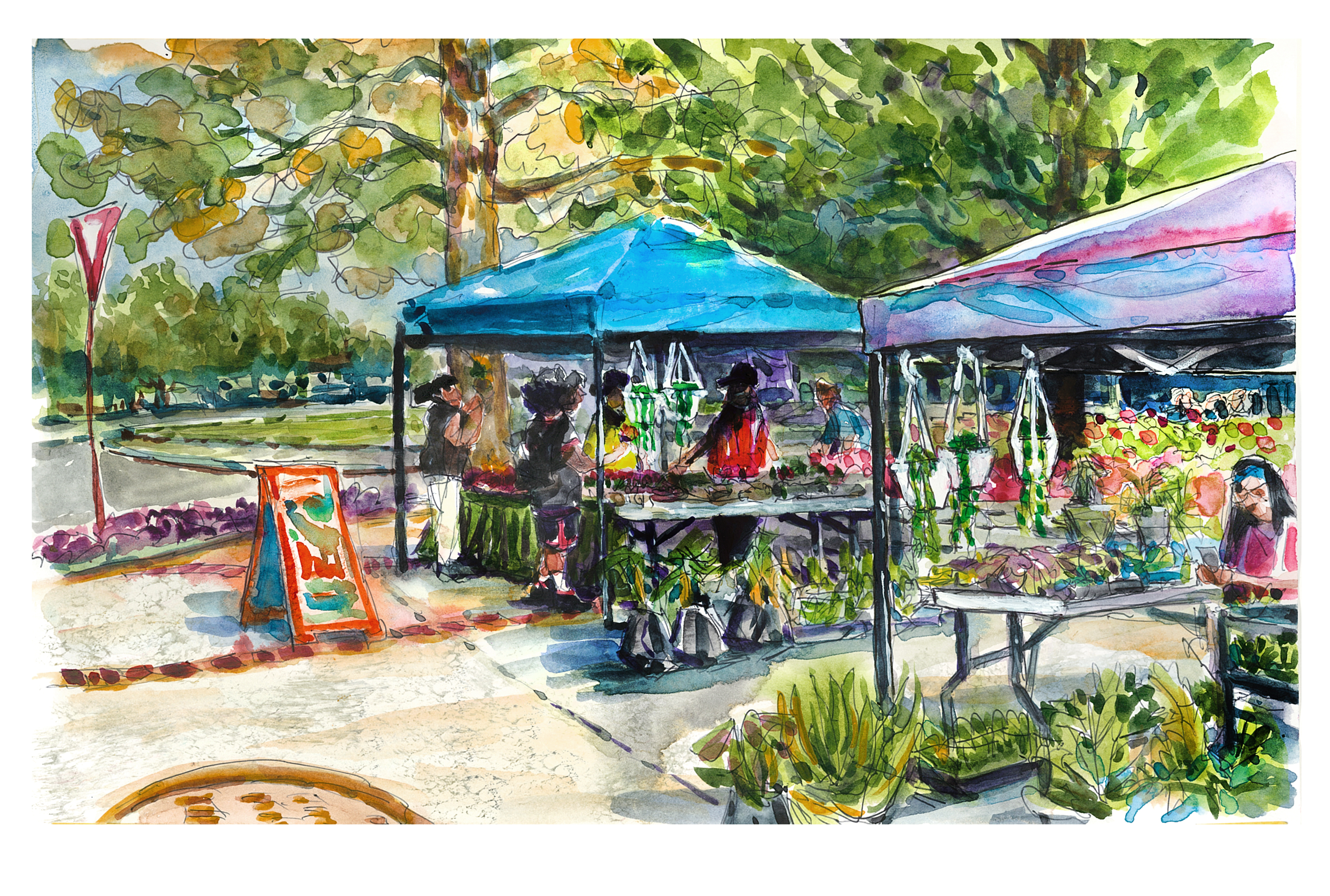 A watercolor of the hort club indoor plant sale on the Newman Library plaza