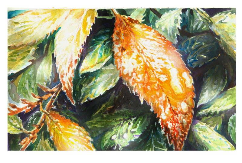 Watercolor sketch of rain-soaked autumn leaves