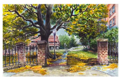 Watercolor sketch of the european beech tree between squires student center and henderson hall