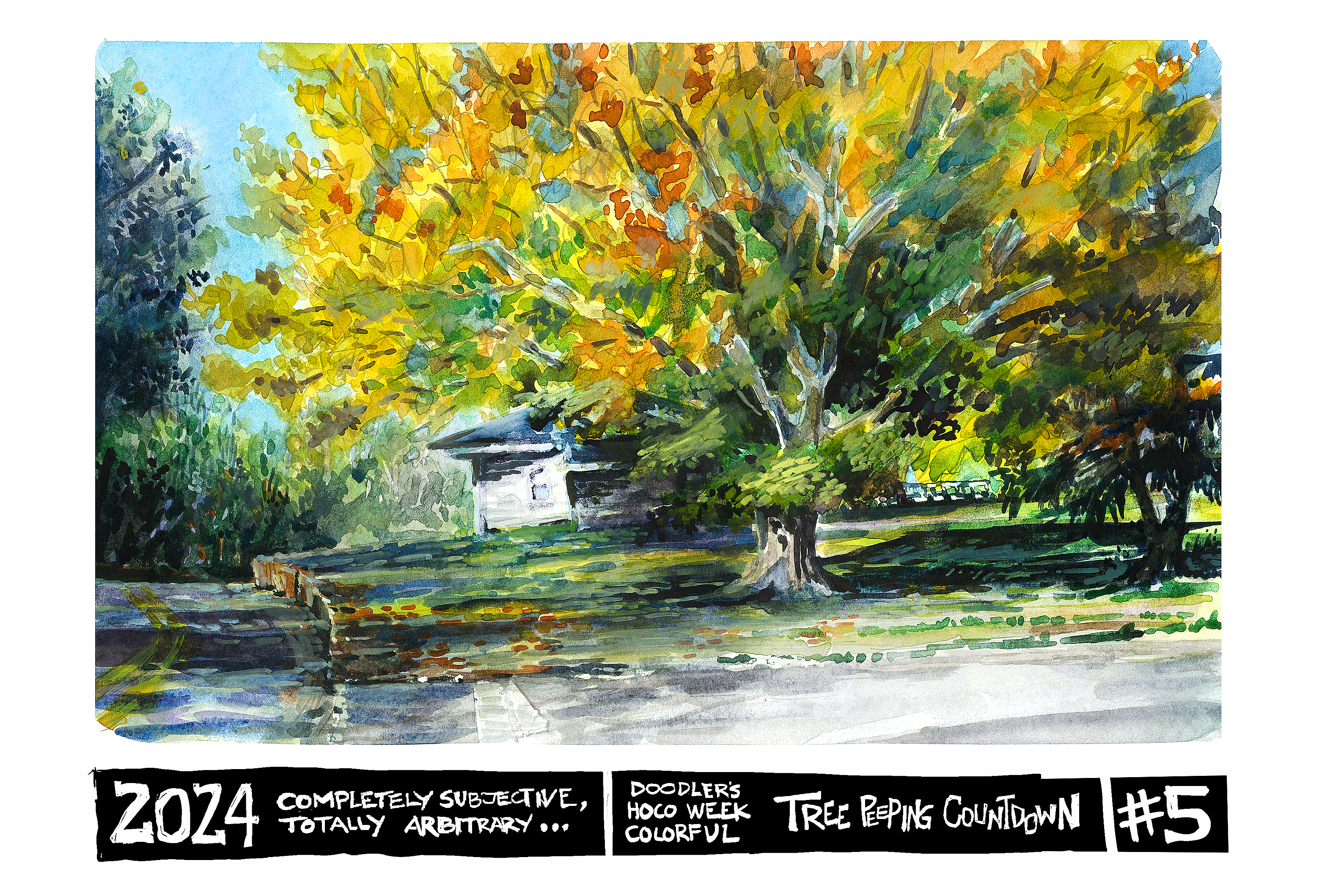 Watercolor sketch of a white ash on duck pond drive