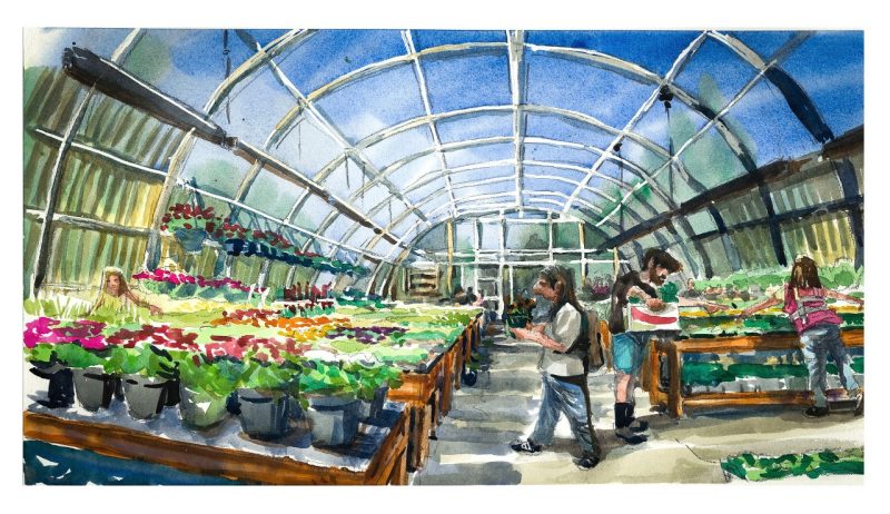 Watercolor sketch of a greenhouse with plants for the Hort Club Annual Spring Plant Sale