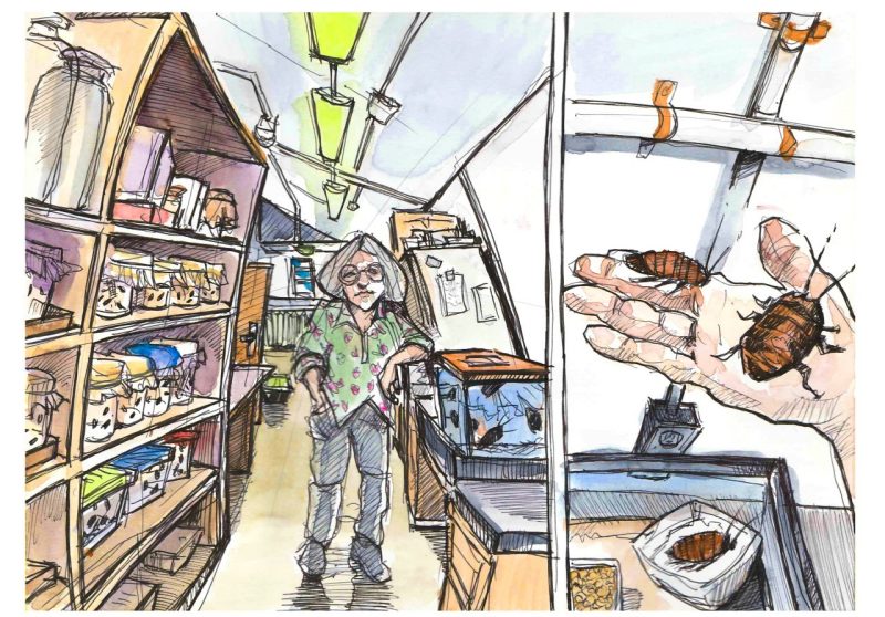 Two-panel ink and watercolor sketch of the Cockroach Lab inside Price Hall