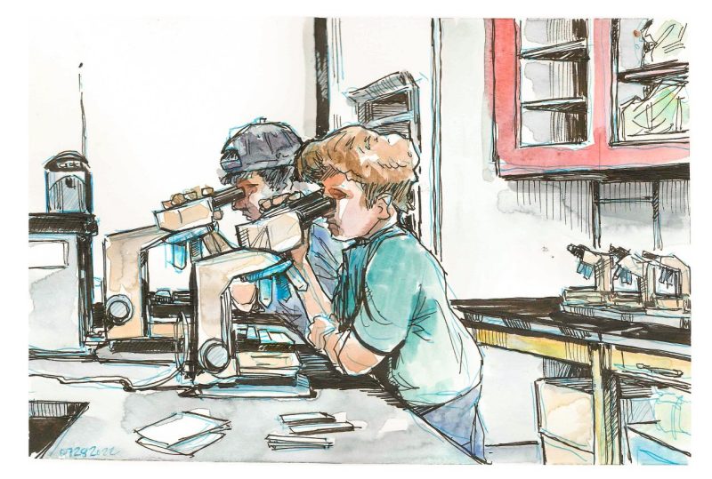 Ink and watercolor sketch of campers looking through microscopes in a lab