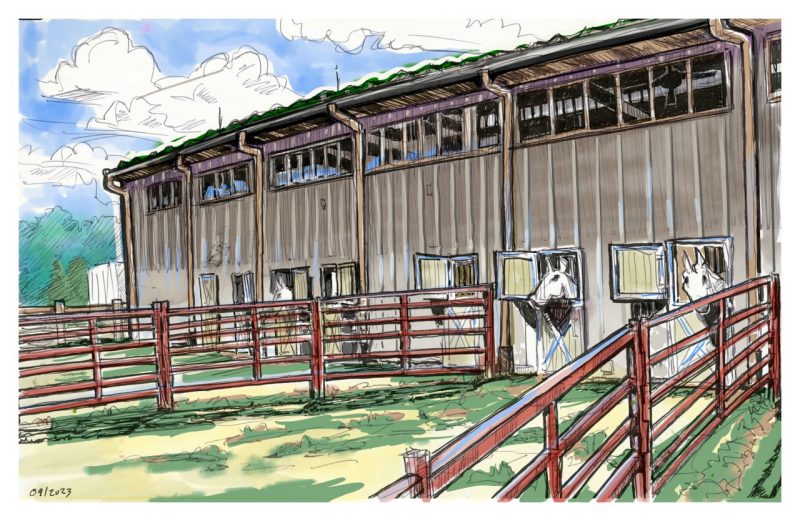 Ink and watercolor sketch of horses looking out from the new Equine Barn
