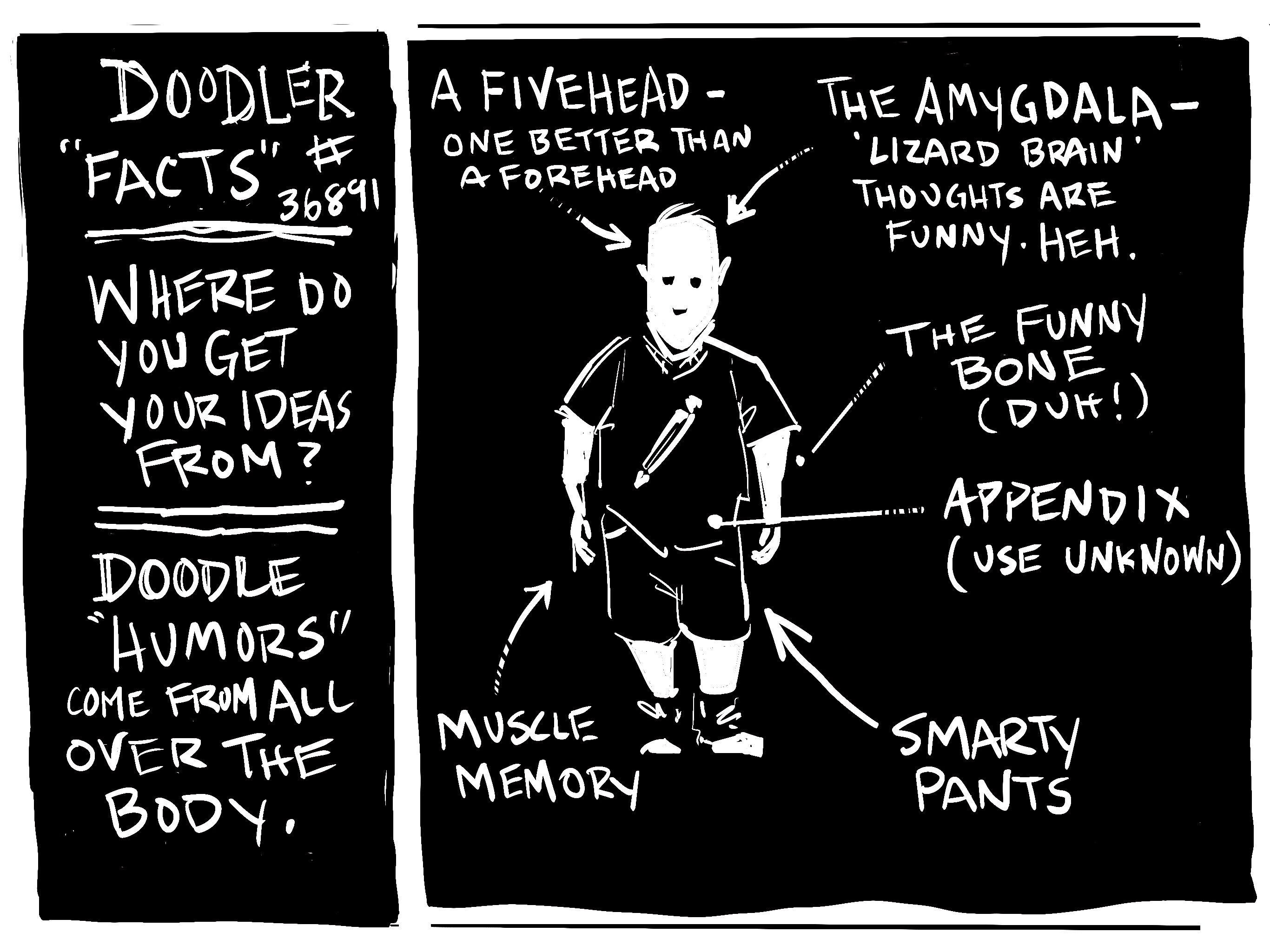 Digital sketch of Doodler and where his ideas come from. Funny bone, appendix, smarty pants, muscle memory, a five head, and the amygdala