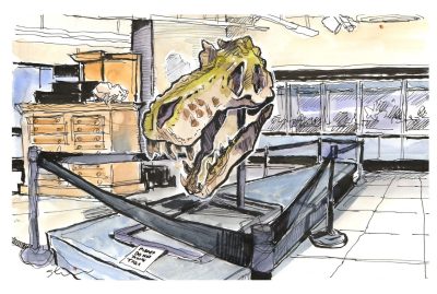 Ink and watercolor sketch of a T-Rex skull replica in the Geoscience Museum