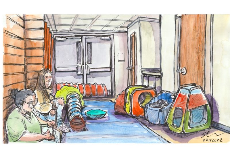 ink and watercolor sketch of the Virginia Tech Women's Basketball SAFE (supporting autism friendly envrinments) space