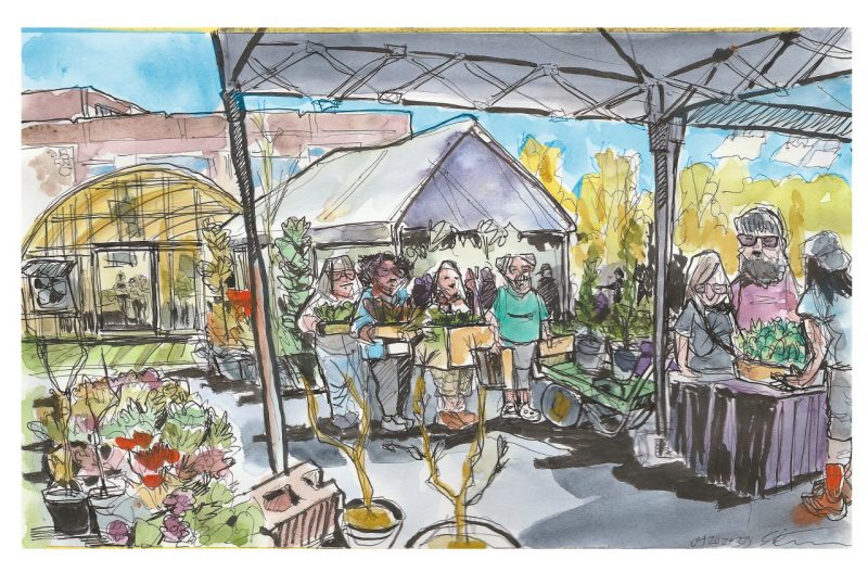 Ink and watercolor sketch of the VT Horticulture Club Plant Sale