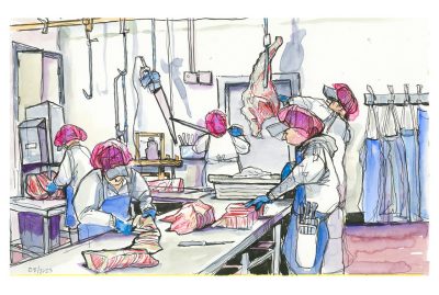 Ink and watercolor sketch of the Virginia Tech Meat Science Center cutting meat in the butcher lab