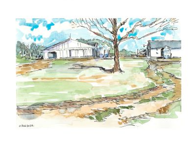 Ink and watercolor sketch of two white barns