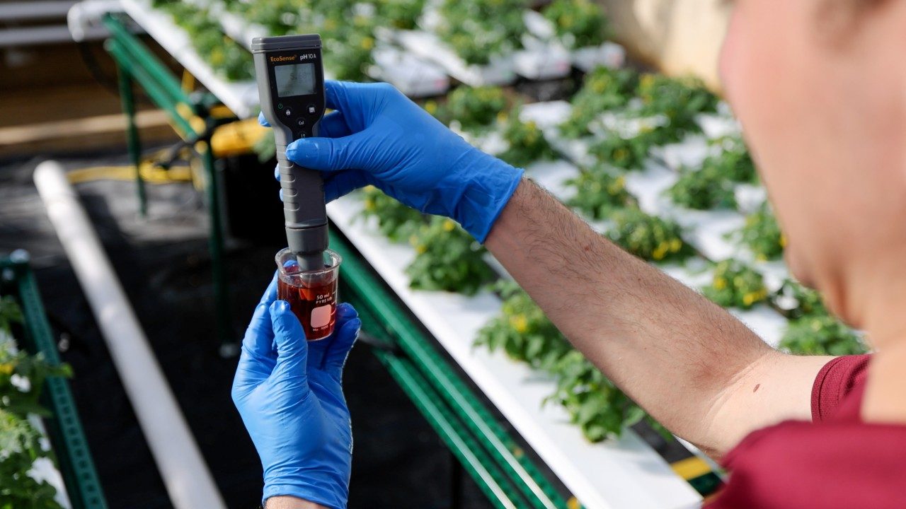 Brandan Shur measures the pH of a nutrient solution reservoir using a digital meter. pH and electrical conductivity (EC) are monitored and adjusted daily to ensure optimal nutrient availability for hydroponically grown crops. Photo by Luke Hayes for Virginia Tech.