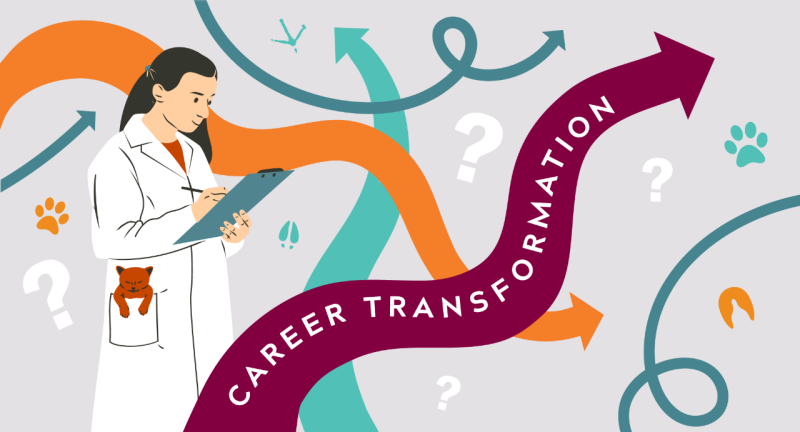 Career transformation graphic.