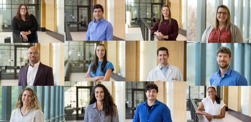 Portrait montage of the new faculty members at the veterinary college.
