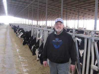 Bruce Bowman standing in front of cows at an Egyptian dairy.