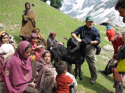 Bruce Bowman examining a valuable herd Cashmere nanny in the Himalayas—Kashmir.