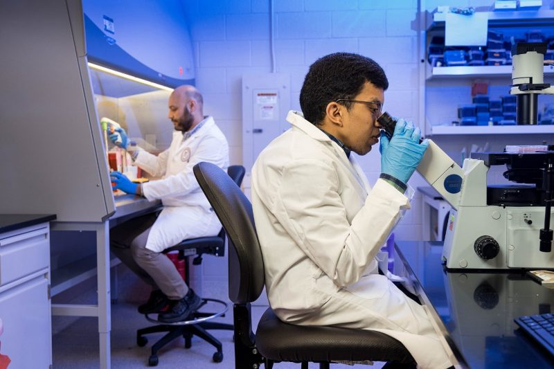 Team members work in a laboratory.
