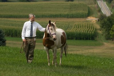 Man walking a white and brown horse in a field.