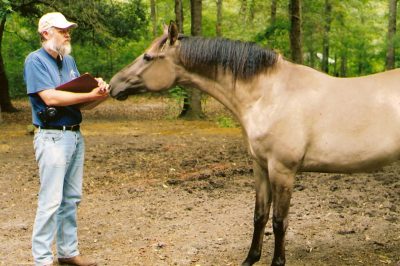 Man standing in front of a brown horse in the woods.