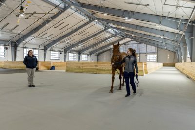 Walking on the softer poured rubber surface inside the Jane and Stephen Hale Equine Performance Center.
