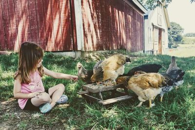 Child sitting beside a table with chickens.