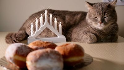 Cat sitting behind a menorah and donuts on a wooden table sleeping, celebrating Hanukkah.