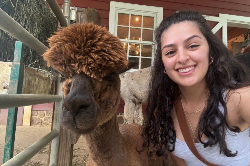 Ester Vergel posing with an alpaca.