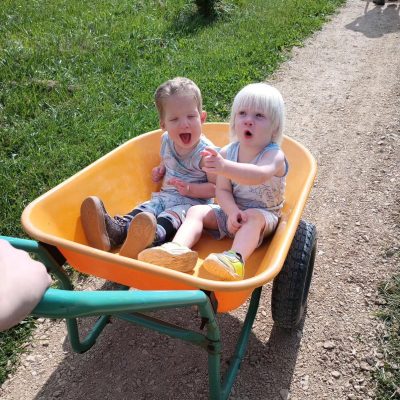 Two small children getting a ride on a yellow wheelbarrow. 