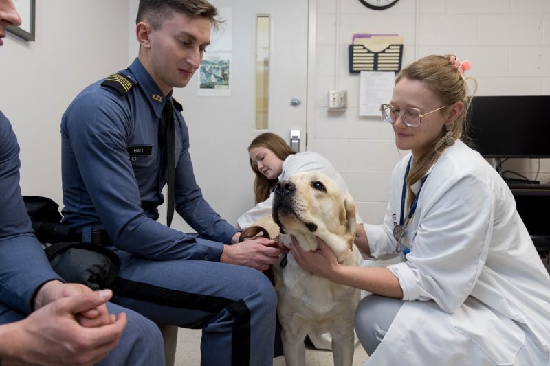 Two cadets sitting with a dog while a veterinary professional examines him.