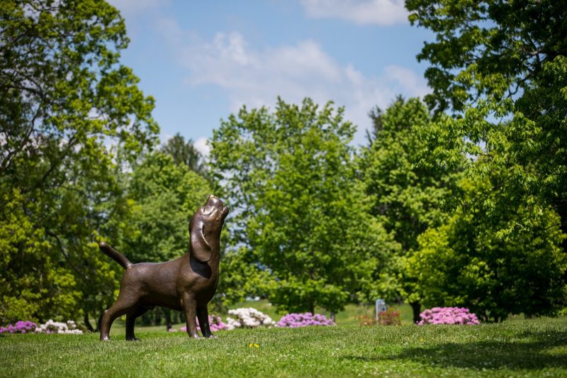 Shiloh statue at the veterinary college during the spring.