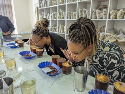 Carla Savage learing how to grade coffee.