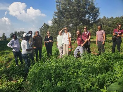 Visiting an dairy farm in Jimma