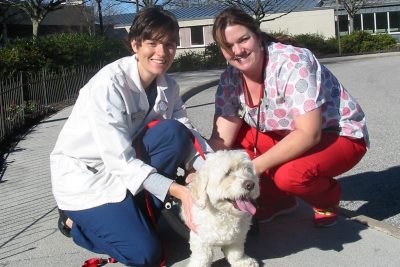 Two veterinary professionals sitting on a sidewalk with a white dog.