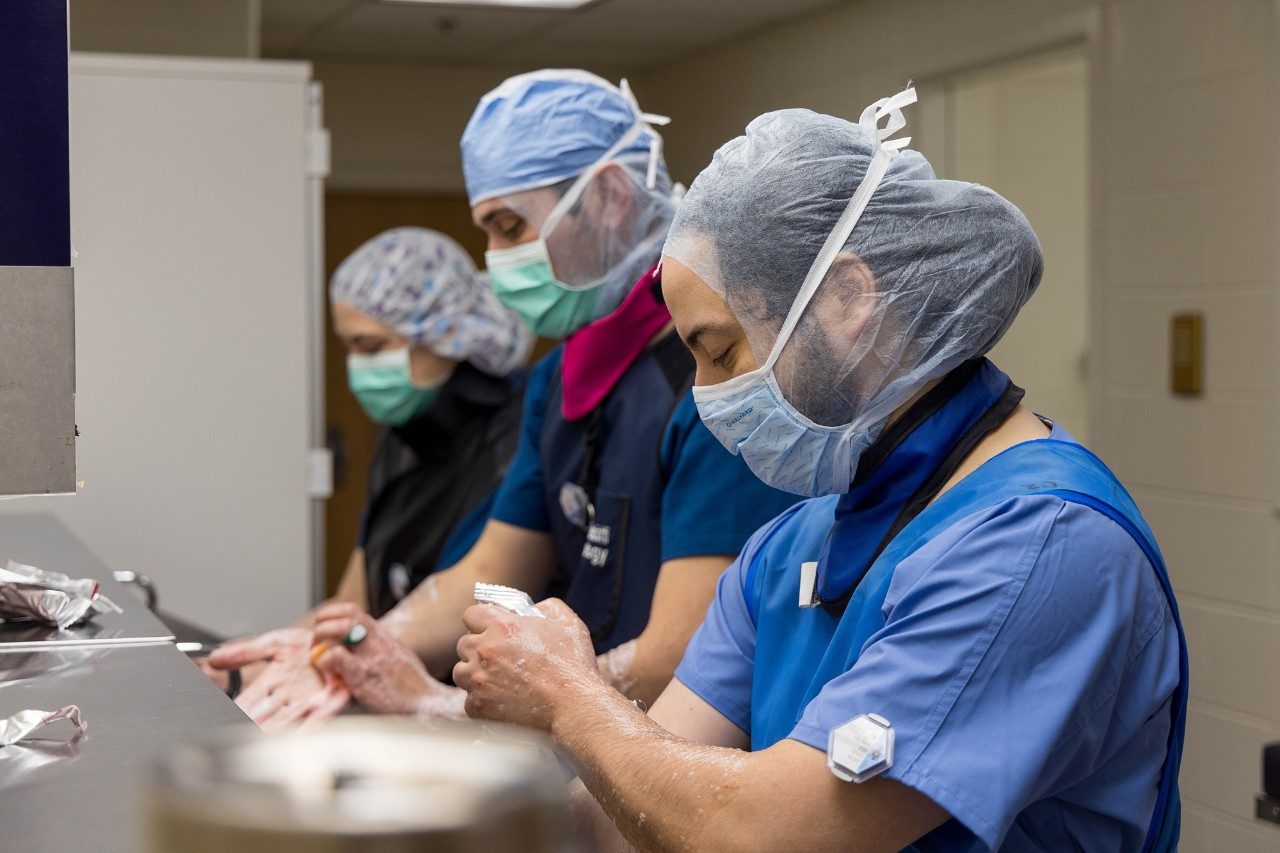 Veterinary college team members prepare for Loki's surgery. 