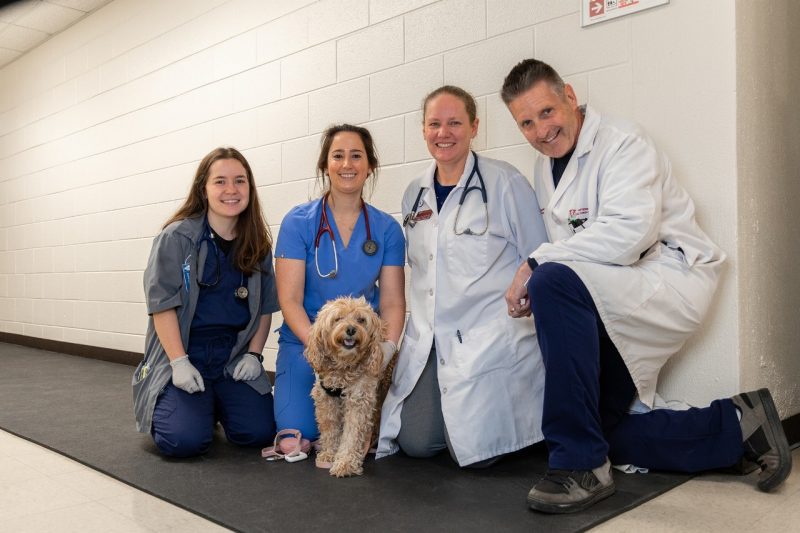 Group photo of Lucy and the clinical trials team.