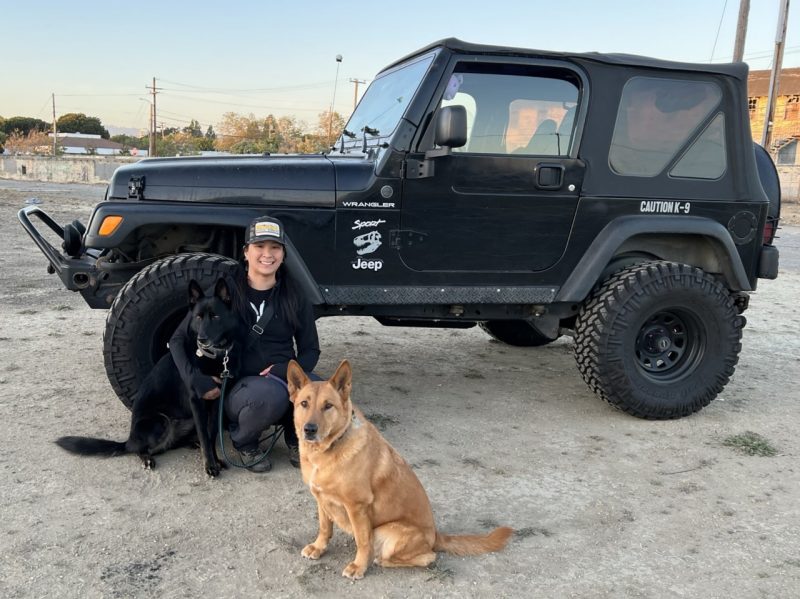 Denise Wrigley with her dogs in front of a black jeep on sand.