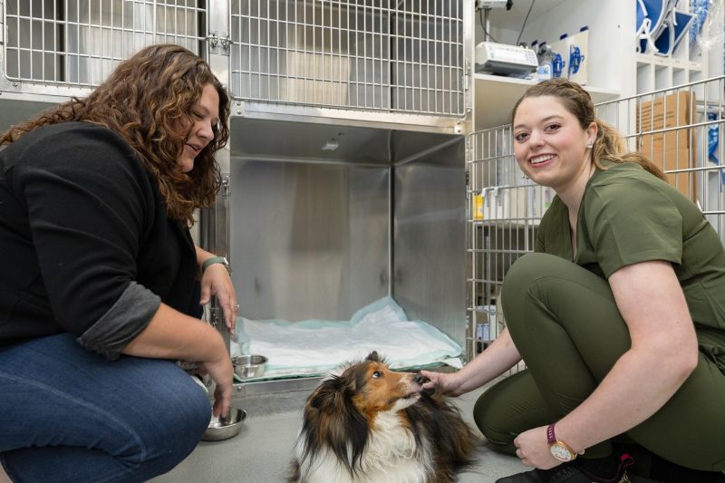 Augusta O’Reilly (at left), Veterinary Licensed Clinical Social Worker, working with a client and DVM student at the Virginia-Maryland College of Veterinary Medicine. Photo by Madison Brown for Virginia Tech.