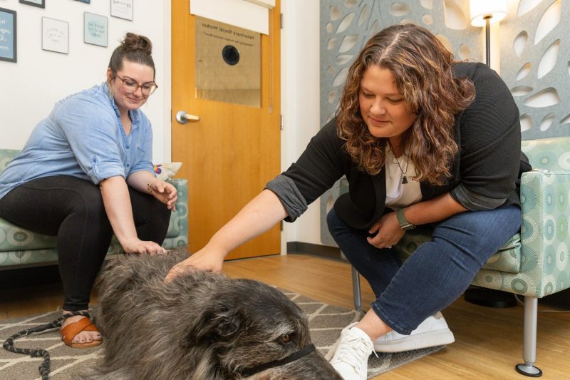 Augusta O’Reilly (at right) working with a client at the Virginia-Maryland College of Veterinary Medicine. 