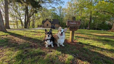 A photo of Min (at left) and Blaze (at right)