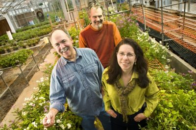 three people in greenhouse