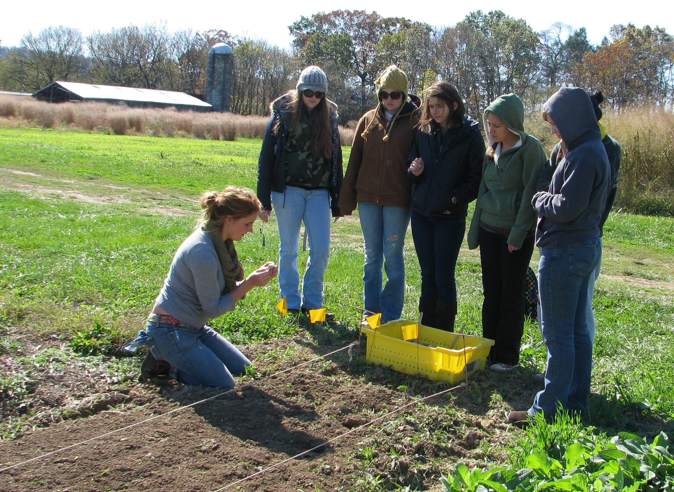 Chelsea Graves teaches student volunteers how to plant garlic.