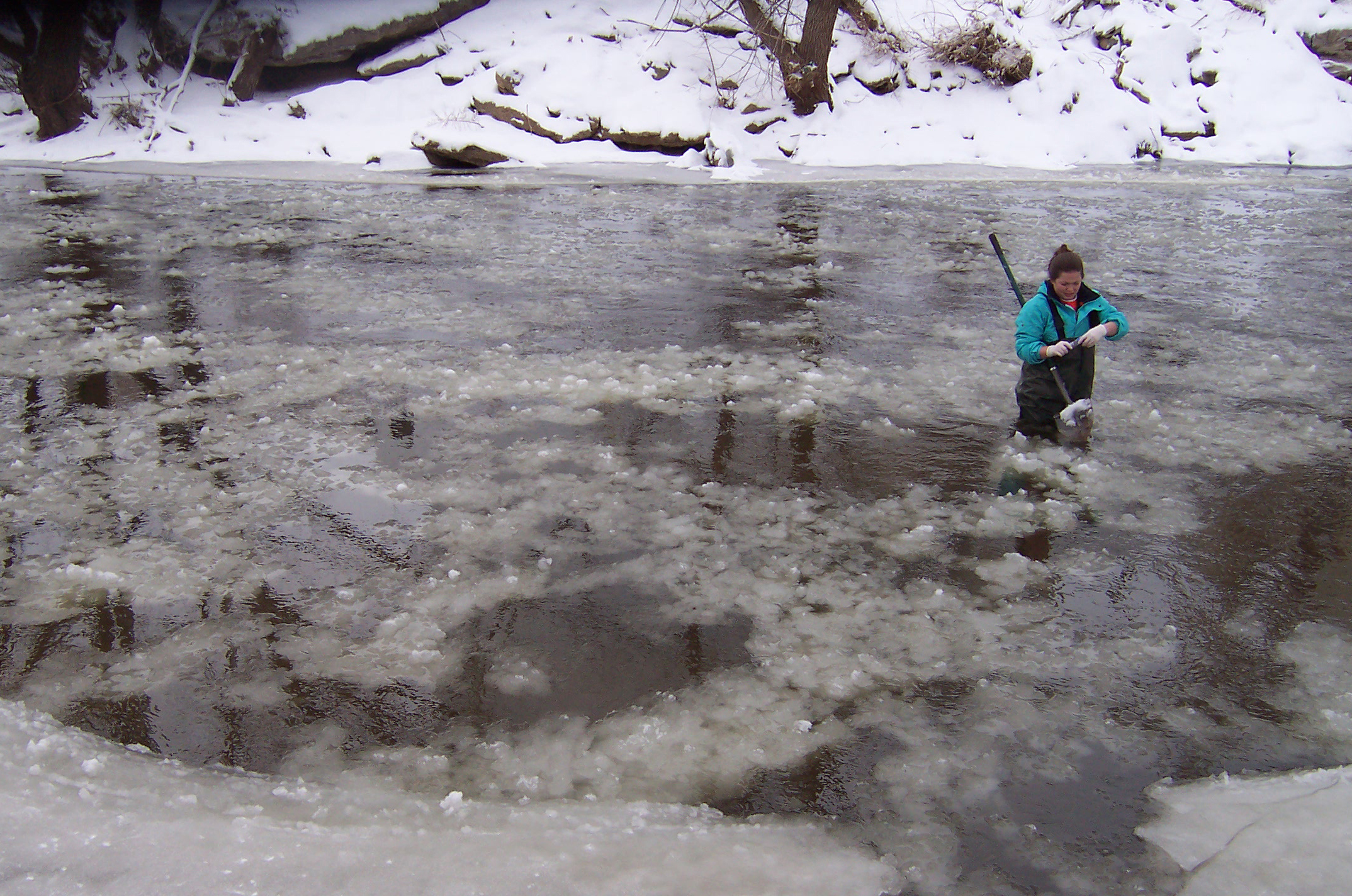 Emily Lipscomb collects water samples.