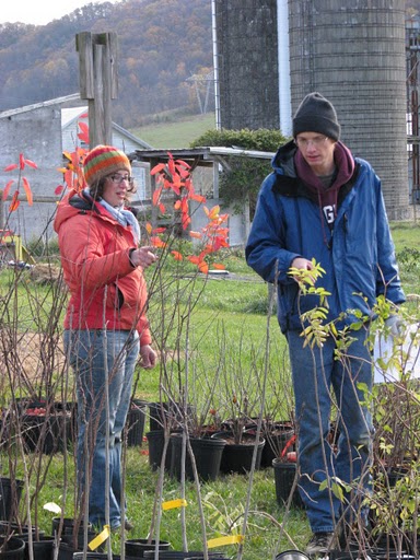 Two students planting trees