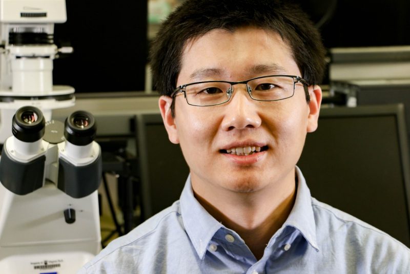 Assistant Professor Ling Li