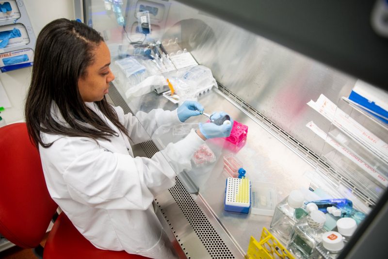 Two health-related events in the fall's Research Development Series will provide critical insight and guidance into the journey toward obtaining prestigious National Institutes of Health P-series grants and how to establish competitive multidisciplinary health-related research collaborations across campus. Photo courtesy of the College of Engineering.