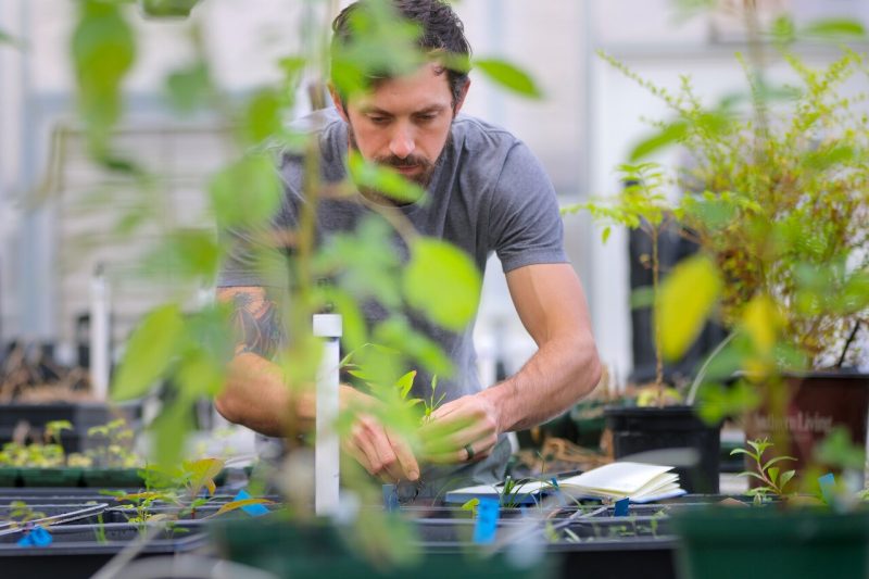 U.S. Army veteran Tim Shively, a Ph.D. student in plant pathology, physiology, and weed science in the College of Agriculture and Life Sciences, is currently studying a biological control agent for an invasive tree. Shively's research has implications for the environment, which is a component of the Health Frontier research area. Photo by Ray Meese for Virginia Tech.