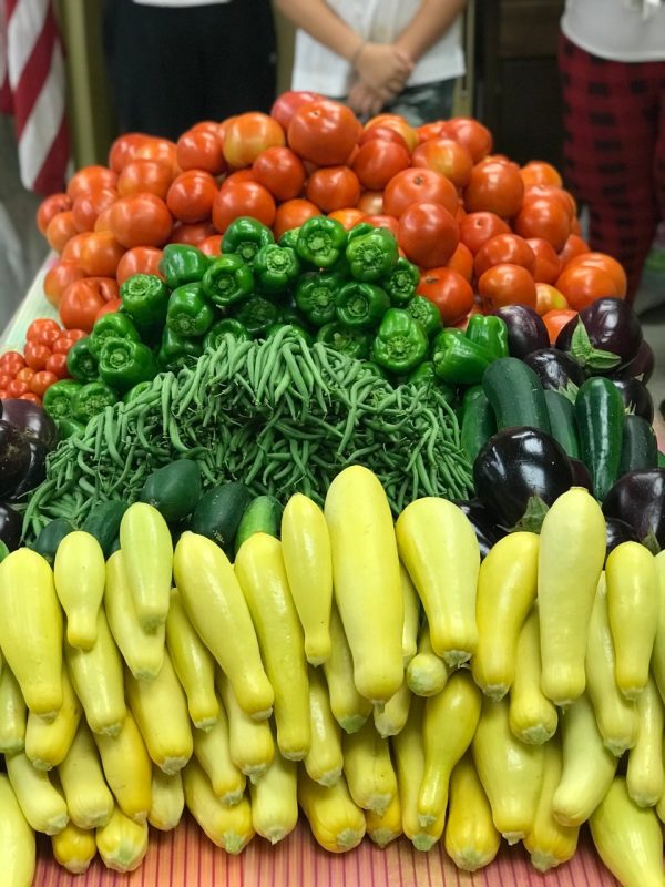 In a rural food desert, the entire Halifax County community has come together to create the Healthy Harvest Community Garden to help community members receive proper nutrition.